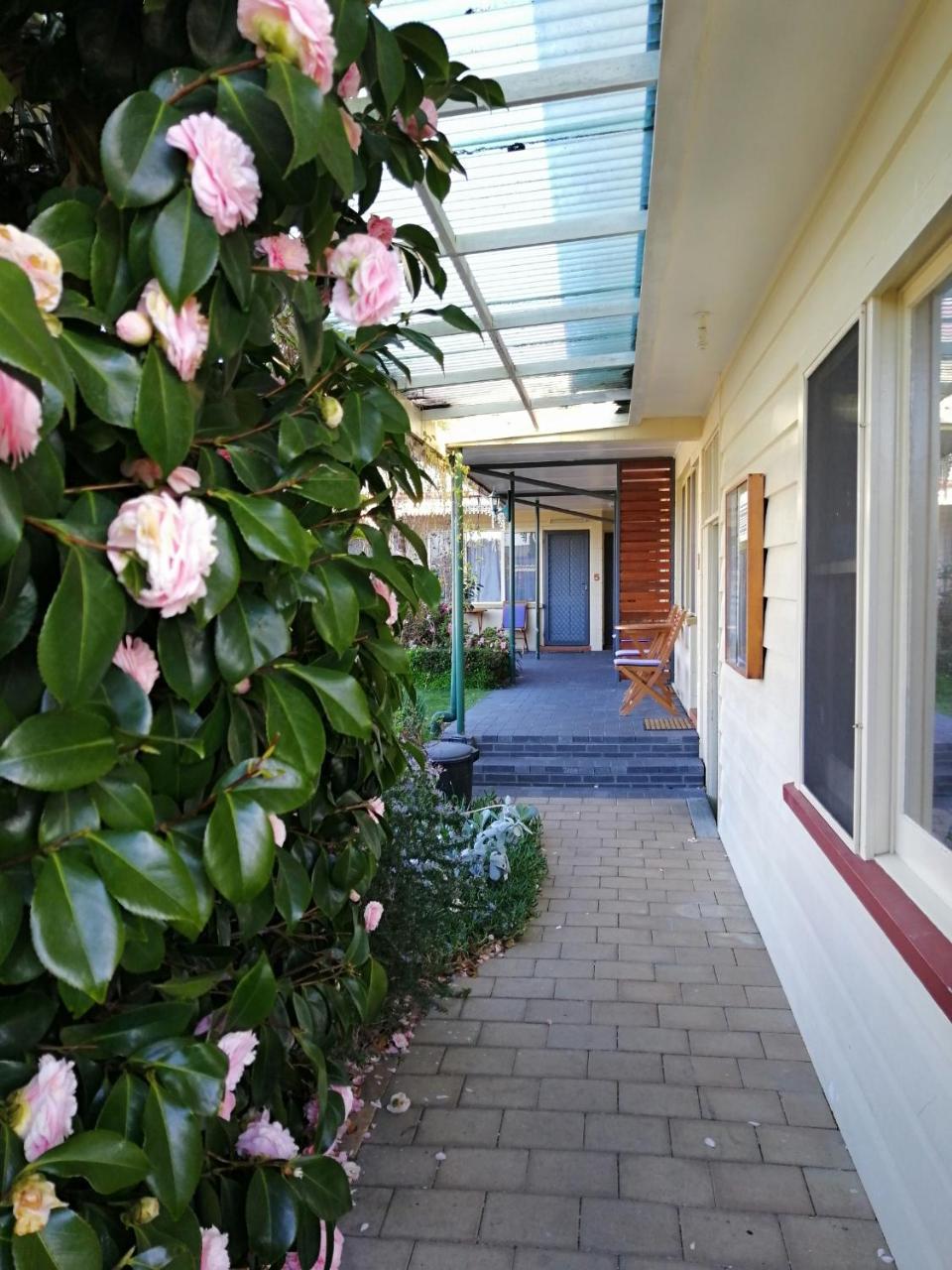 Wintersun Gardens Motel Bicheno Kültér fotó